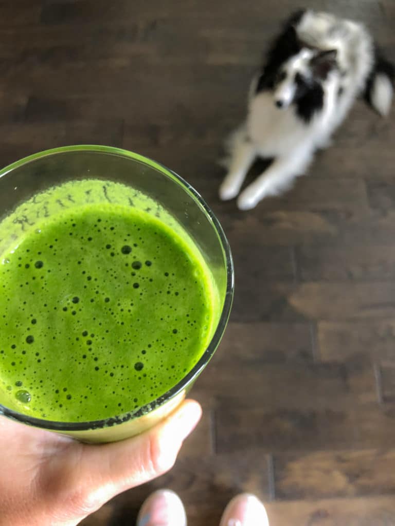 Green smoothie with cute dog in the background