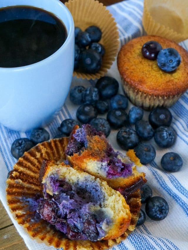 protein-blueberry-muffin-bodybuilding