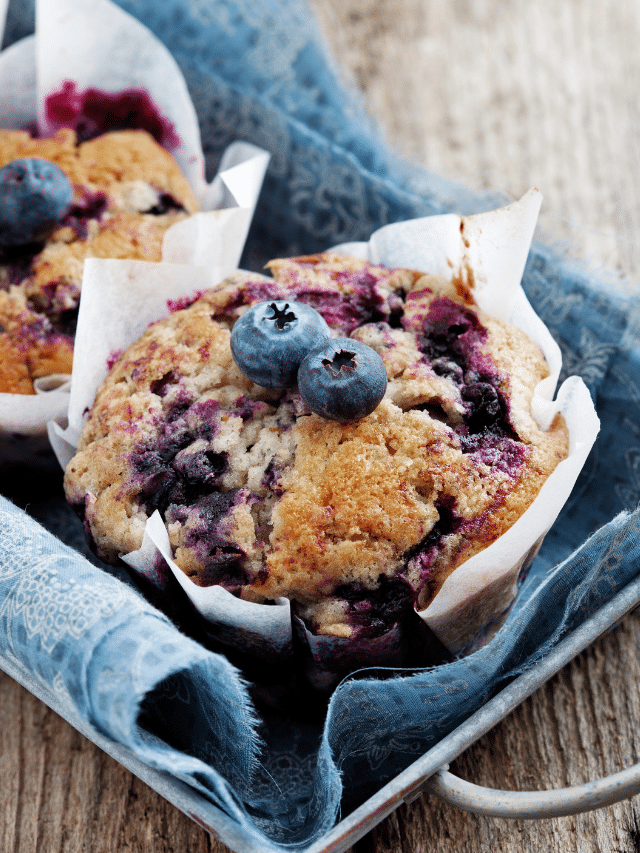 blueberry muffin in a muffin liner