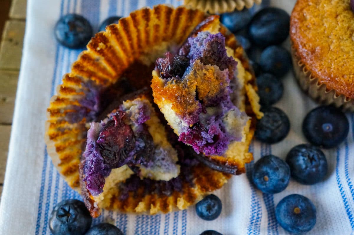 blueberry muffin bite shot showing inside of muffin