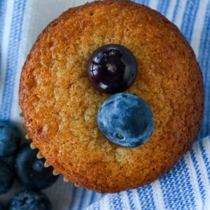 blueberry muffin and fresh blueberries