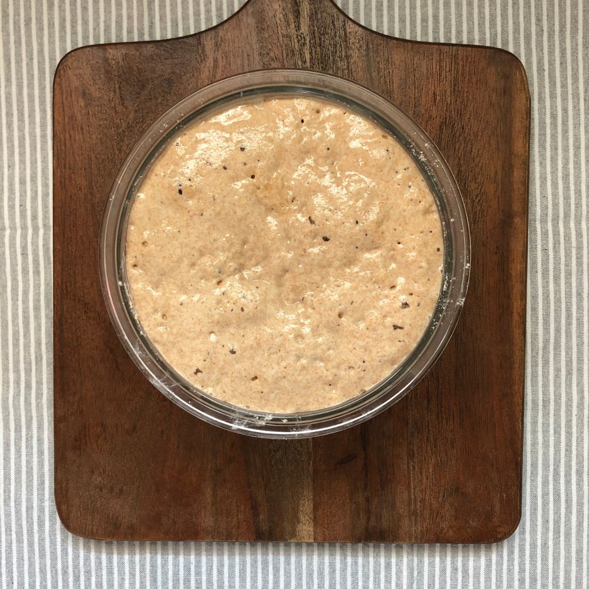 Bread Sponge in a bowl