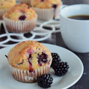 blackberry muffin on a white plate with fresh blackberries