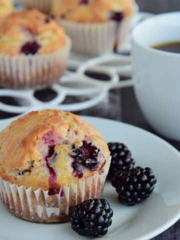 blackberry muffin on a white plate with fresh blackberries