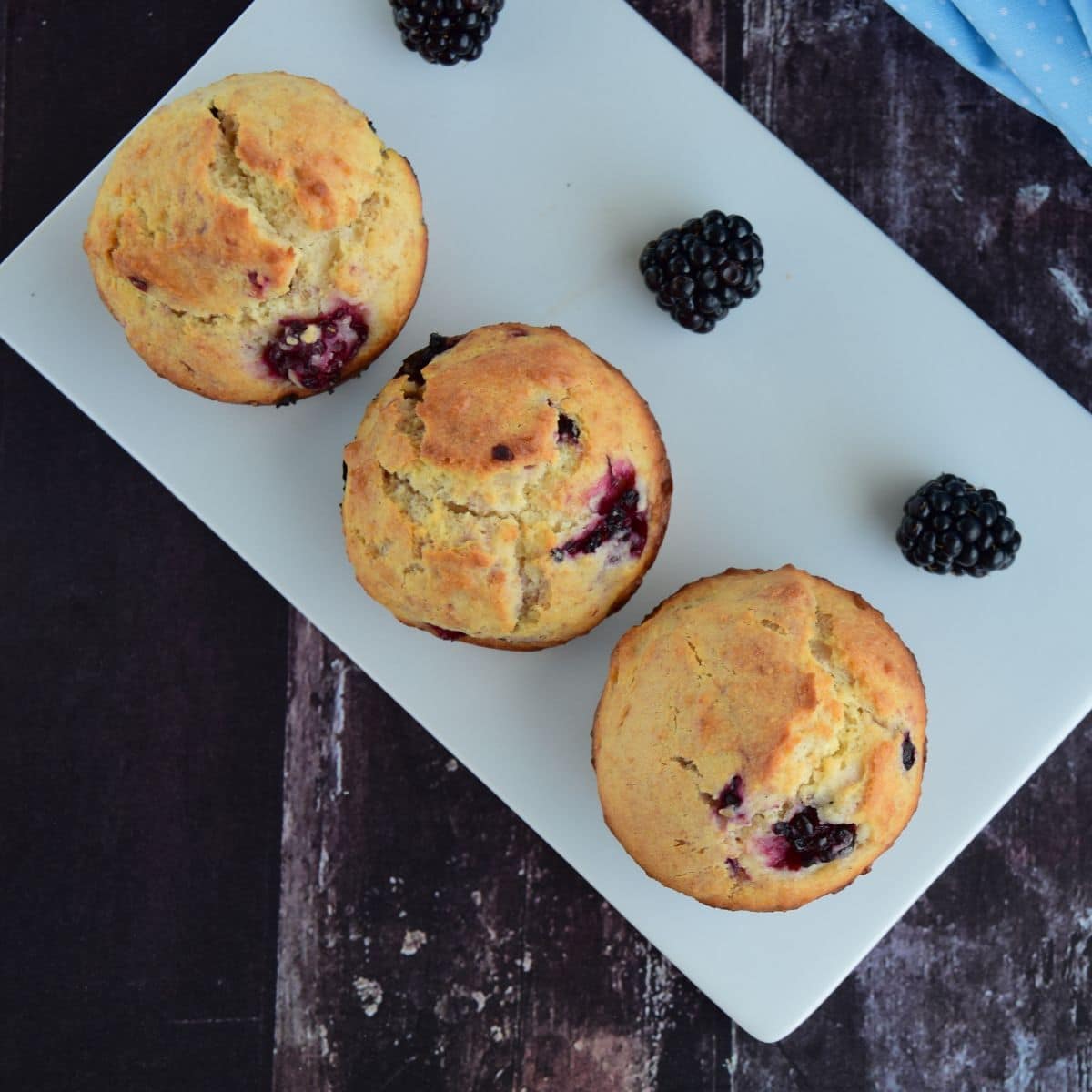 3 balckberry muffins freshly baked and on a white plate with fresh blackberries 